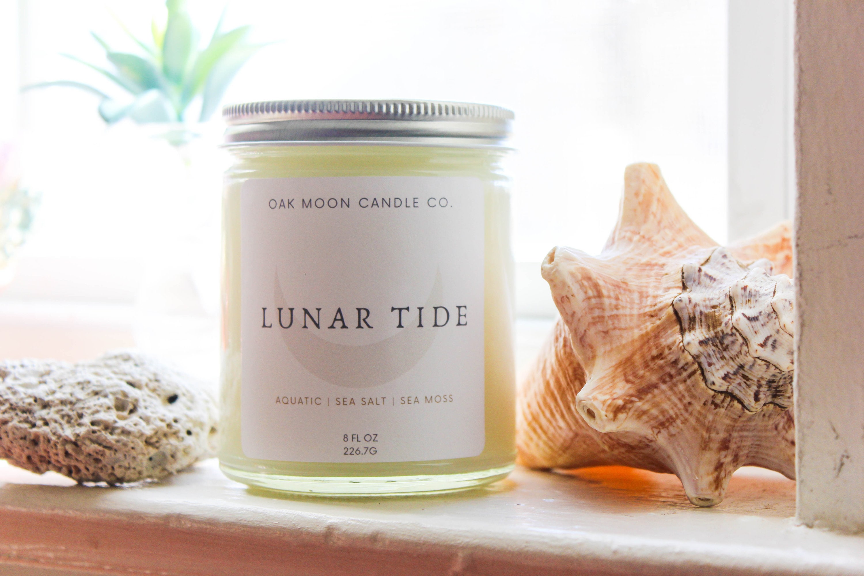 LUNAR TIDE Oceanic Soy Candle Ocean Sea Salt Scent Water Etsy