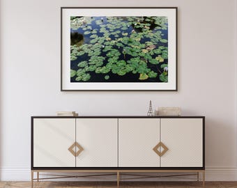 Water Lilies Wall Art Download, Lily Pad Digital Paper, Lily Pad Photography