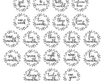 Monthly Milestone SVGs, Baby Onesies Svgs, Baby Milestone Template, Baby Monthly Milestone SVGs, Baby Onesies, Onesies