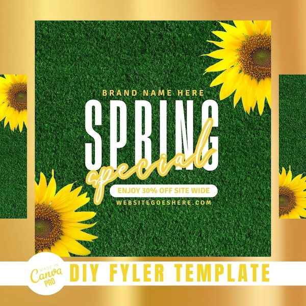 DIY Spring Hair Booking Sales Flyer | Booking Now Lash, Wig, Nail, Body Contouring Flyer | Canva Template Flyer | Pink and Blue Spring Time