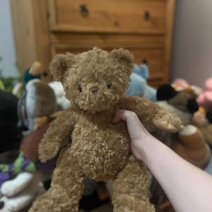 stuffed animal bear
