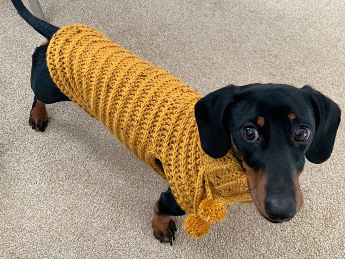 Miniature Dachshund/ Sausage Dog Crochet Coat / Jumper / Etsy UK