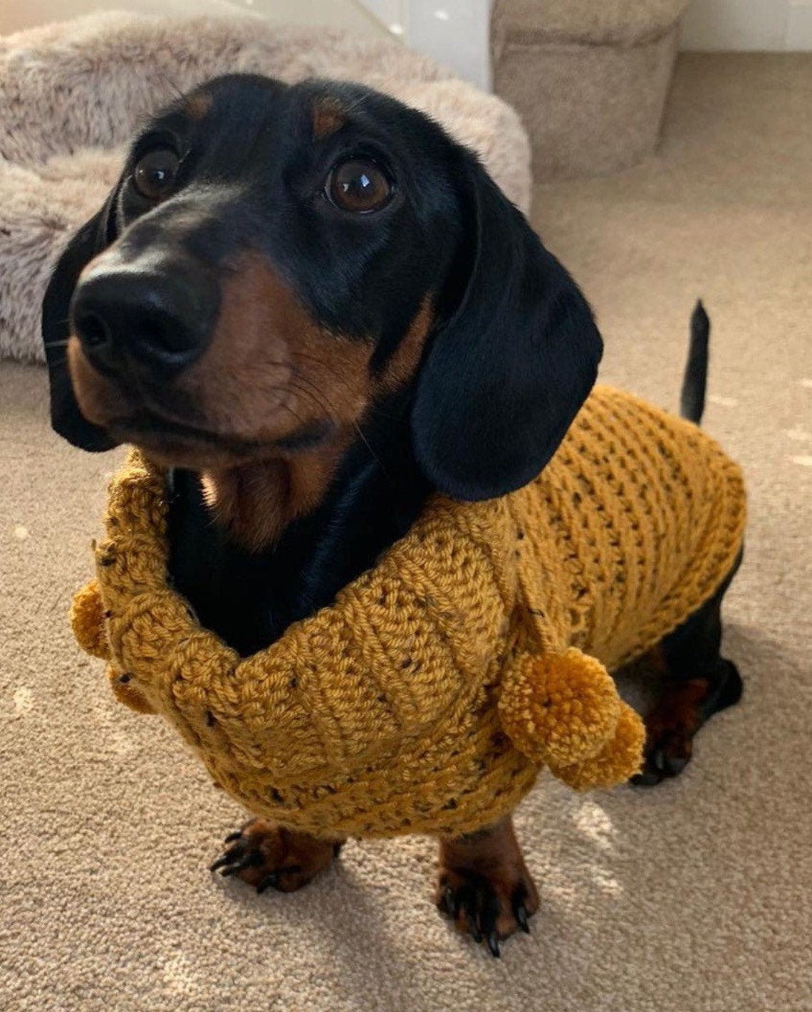 Miniature Dachshund/ Sausage Dog Crochet Coat / Jumper / Etsy UK
