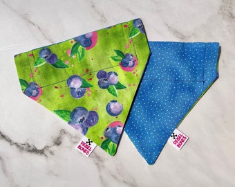 May include: Two dog bandanas, one green with a blueberry print and the other blue with white polka dots. Both bandanas have the text "Rebel Bones" printed on them.