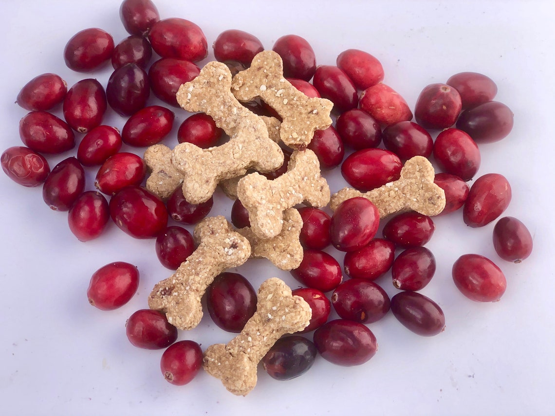 Boss Bones All Natural Gourmet Dog Treats Cranberry Oat Dog Etsy