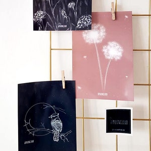 Postcard Art Set 3 Postcards A6 Dandelion Wildlings Dreamy Blue Bird Blue Jay Mini Prints Stars Night Sky Illustrated Wall Desktop Aesthetic