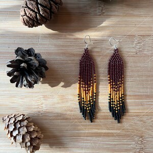 Festival Fringe Earrings