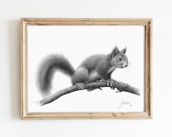 ◆模写◆異色の天才画家◆Squirrel（リス）◆肉筆画サインあり Squirrel Wall Art Print | Black and White Poster | Fine-Art Pencil