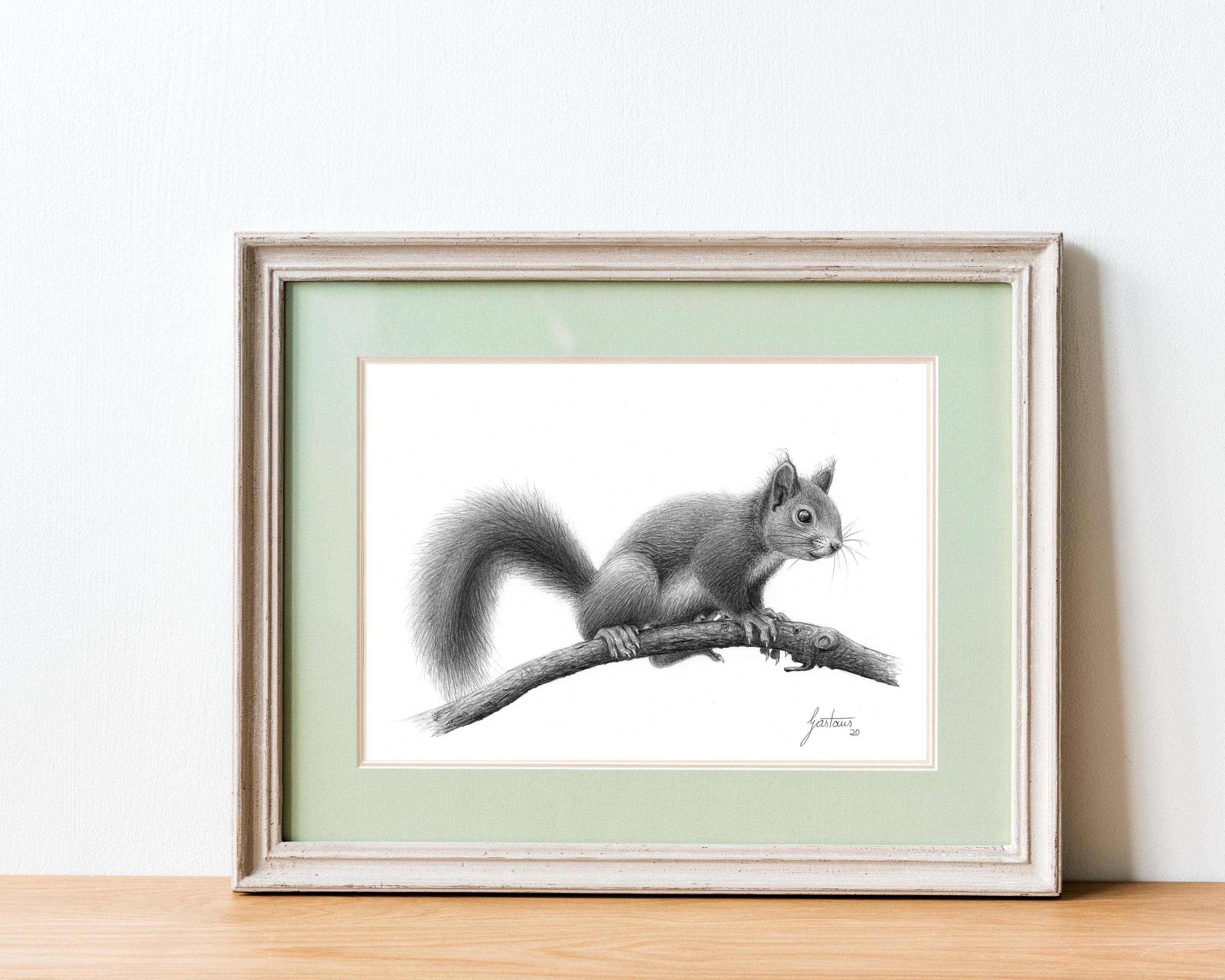 Squirrel Wall Art Print | Black and White Poster | Fine-Art Pencil