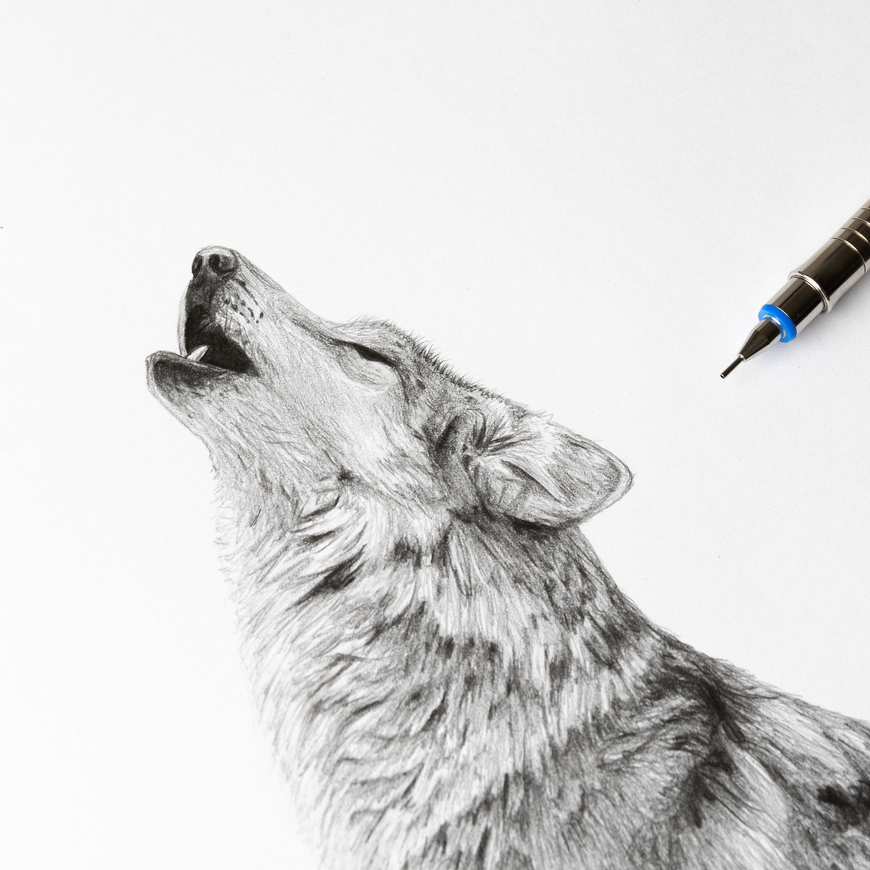 Wolf Wall Art Print | Black and White Poster | Fine-art Pencil