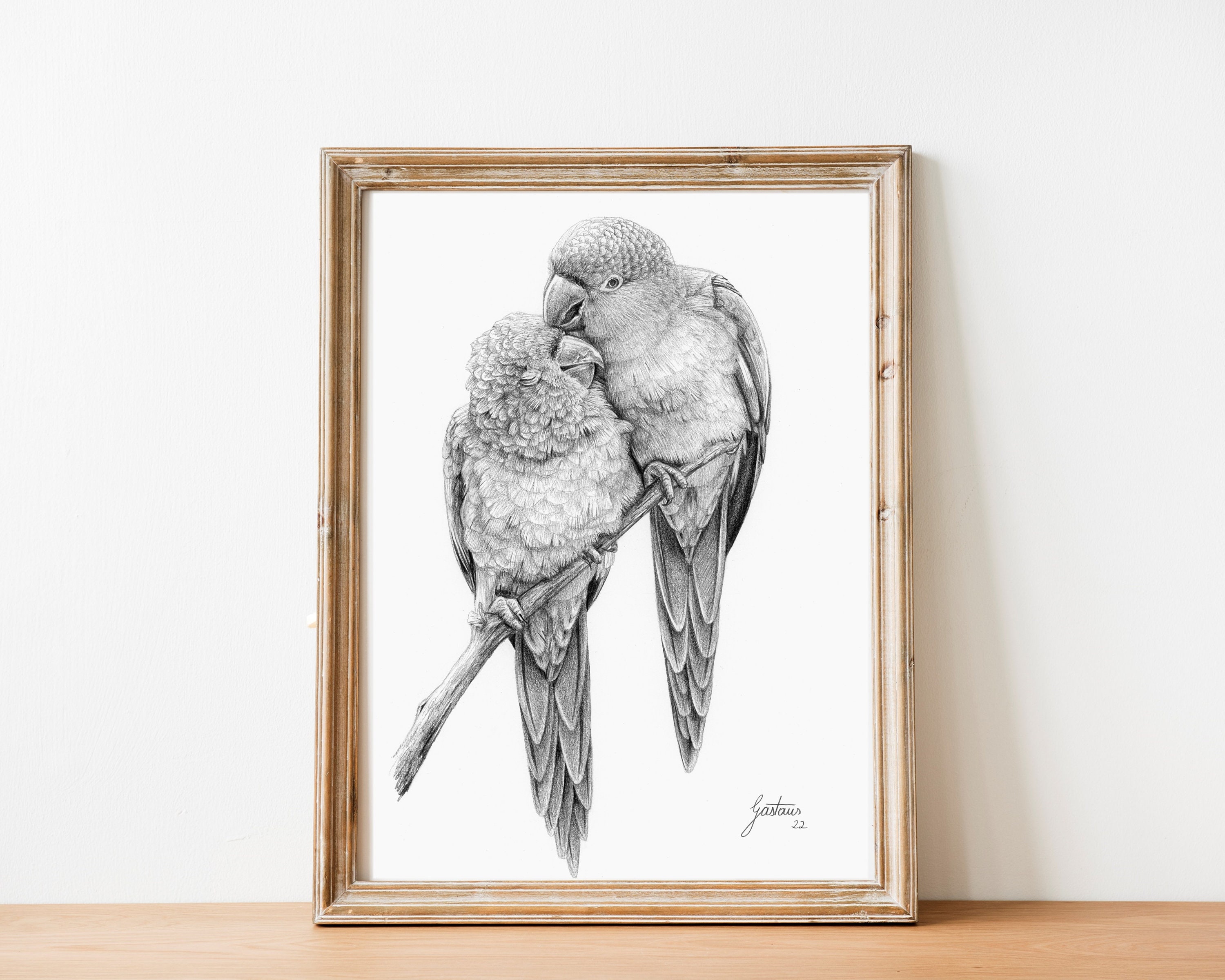 Parrot Wall Art Print | Black and White Poster | Fine-art Pencil