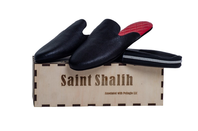 mens travel slippers with case