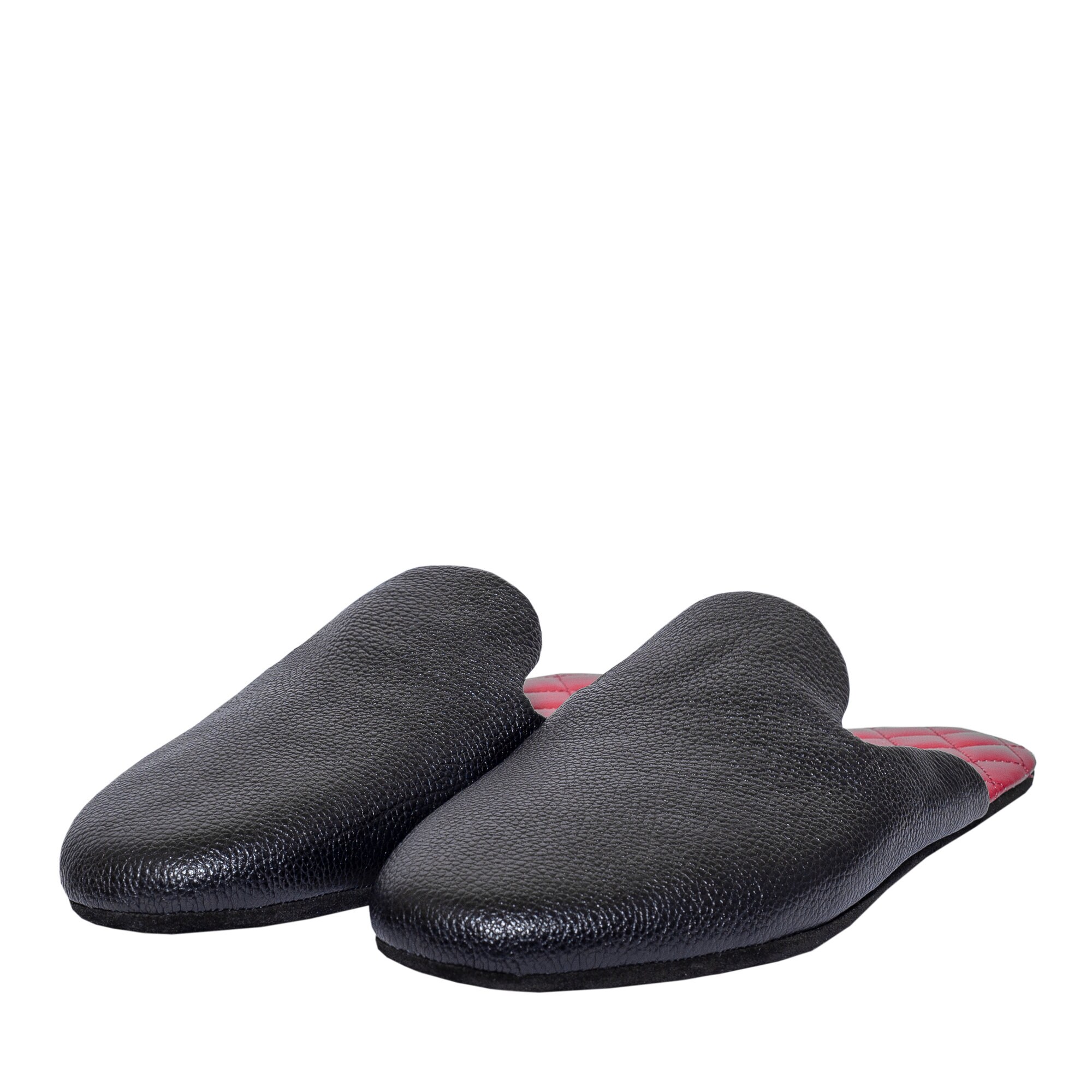mens travel slippers with case