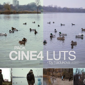5 CINEMATIC Film LUTS for Sony | Cine4 Lut Pack | Davinci Resolve | Adobe Premiere Pro | Final Cut Pro