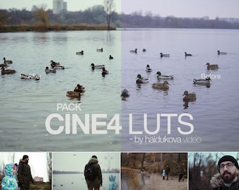 5 KINEMATISCHE Film LUTS für Sony | Cine4 Lut Pack | Davinci Entschlossenheit | Adobe Premiere | Final Cut Pro