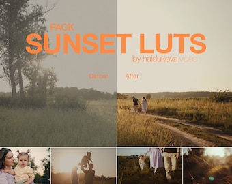 5 kinoreife LUTs für Videos | Davinci Entschlossenheit | Adobe Premiere | Final Cut Pro