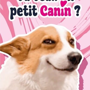 May include: A pink and white background with a cartoon dog with a funny expression. The text "Tu veux un petit Canin?" is written in black and pink letters.