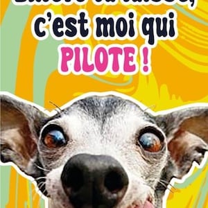 Puede incluir: Una imagen divertida de un perro con la lengua fuera. El perro mira a la cámara con una expresión traviesa. El texto en la imagen dice "Enlève ta laisse, c'est moi qui PILOTE!" que se traduce como "¡Quítate la correa, yo soy el que conduce!"