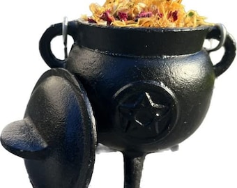 Pangolin House Pentagram Pentacle Cast Iron Cauldron with Lid and Handle and Prophetic Dream Herbs Set.