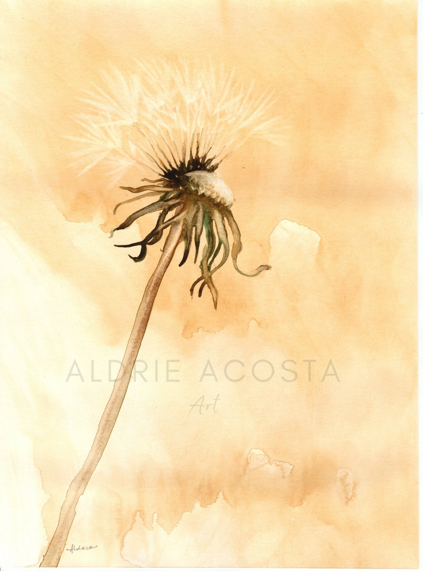 Dandelion Fluff Series No. 1 Original Watercolor Impression Etsy