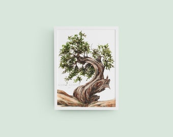 Aged Tree Series No. 1 Giclée Art Print from Original Watercolor Impression Painting, Ancient Wood, Curved Trunk Watercolor Wall Art Décor