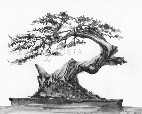 Bonsai Tree Series No. 1 Giclée Art Print From Original