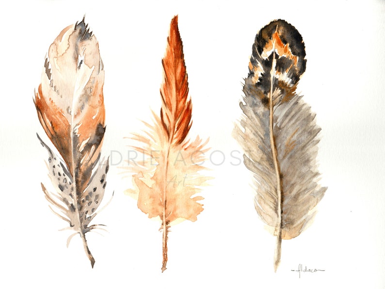 Bird Plumage Watercolor Wall Art Decor 2 Original Watercolor Impression Painting Bird Feather Series No