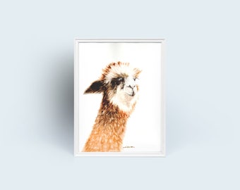 Lama Kunst Druck von original Aquarell Impression Gemälde, Tier Kunstdruck