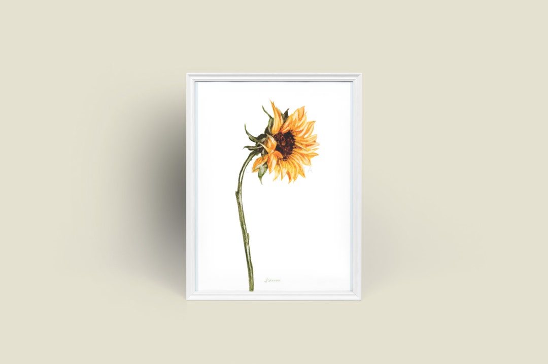 Sunflower Series No. 2 Giclée Art Print From Original Watercolor ...