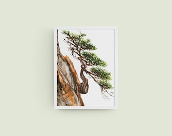 Aged Tree Series No. 3 Giclée Art Print from Original Watercolor Impression Painting, Ancient Wood, Curved Trunk Watercolor Wall Art Décor