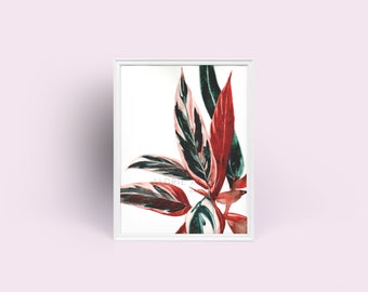 Variegato zenzero pianta Giclée Art Print da Original Watercolor Impression Painting, Red Plant Acquerello Home Wall Decor Hangings