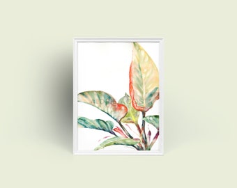 Philodendron Series No. 3 Giclée Art Print from Original Watercolor Impression Painting, Variegated Red Plant Home Wall Decor Hanging Gift