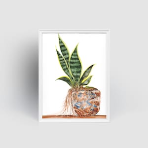 May include: Watercolor painting of a snake plant in a decorative pot. The plant has green and yellow striped leaves. The pot is a mix of blue, brown, and white. The roots are visible, and the artwork is framed in a white border.