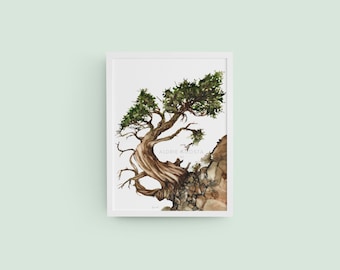 Aged Tree Series No. 2 Giclée Art Print from Original Watercolor Impression Painting, Ancient Wood, Curved Trunk Watercolor Wall Art Décor