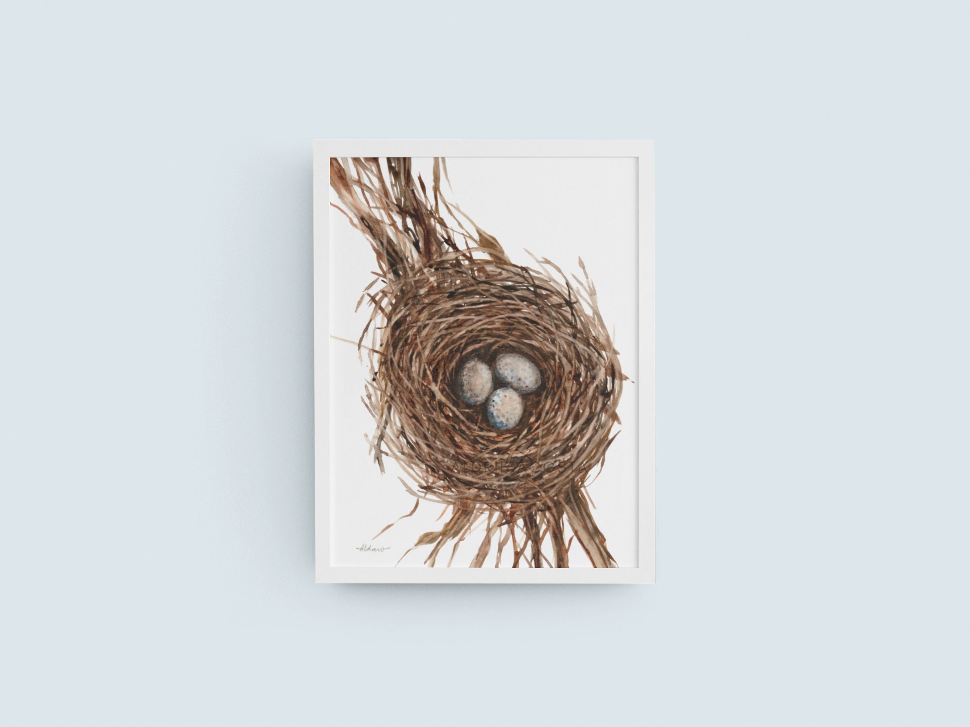 three bird nest – tracy sailors