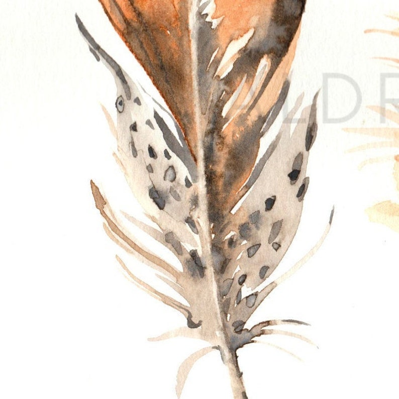 Bird Plumage Watercolor Wall Art Decor 2 Original Watercolor Impression Painting Bird Feather Series No