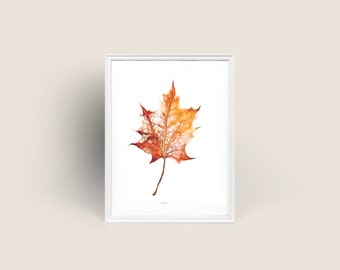 Autumn Leaf Series No. 2 Original Watercolor Impression Painting, Fall Brown Maple Leaf Home Wall Décor Hangings