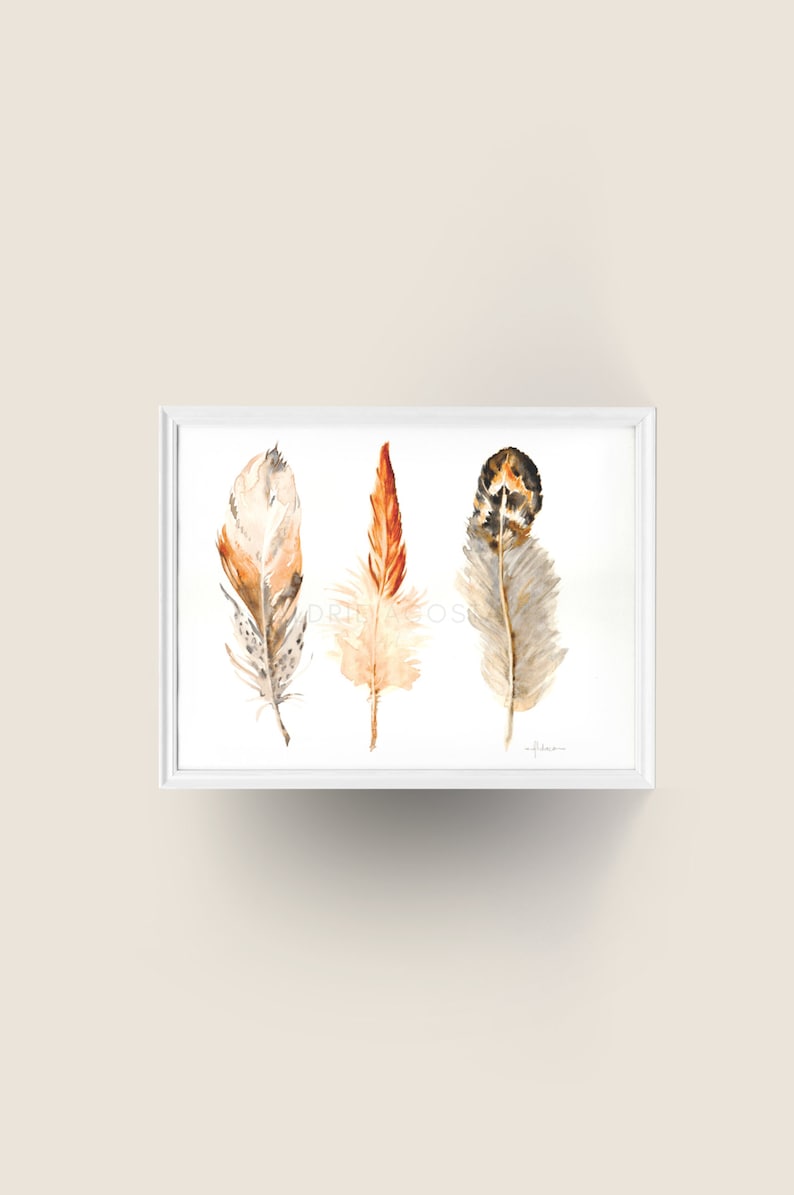 Bird Plumage Watercolor Wall Art Decor 2 Original Watercolor Impression Painting Bird Feather Series No