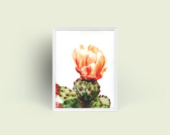 Cactus Flower Series No. 1 Original Watercolor Impression Painting, Orange Succulent Bloom Desert Plant Home Wall Décor Hangings