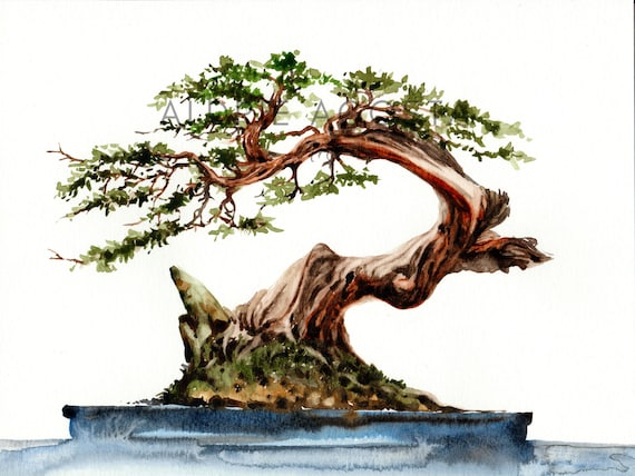 Bonsai Tree Series No. 1 Gicle Art Print From Original Watercolor  Impression Painting, Plant Watercolor Wall Art Dcor - Etsy