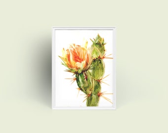 Cactus Flower Series No. 2 Original Watercolor Impression Painting, Orange Succulent Bloom Desert Plant Home Wall Décor Hangings