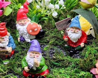 6cm Gnome fairy garden decor enchanted garden  gnome ornament plant terrarium decor garden gnome mini Gnomes for pots Gnome fairygarden