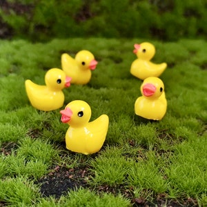 Miniatuur eend voor sprookjestuin tuin terrariumvoorraad decor Fairy Garden Ducks Poppenhuiseend, miniatuur superleuke eendjes