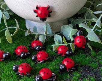 Può includere: Una collezione di piccole statuette di coccinelle rosse con punti e teste nere. Le coccinelle sono sparse su un letto di erba artificiale verde, con un vaso di ceramica bianca e fogliame verde sullo sfondo. Queste coccinelle decorative sono perfette per l'arredamento del giardino.