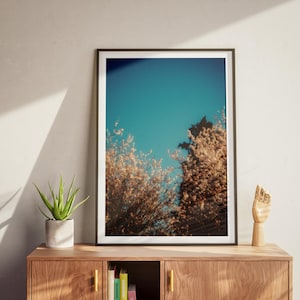 Frühlingsblütenbaum Poster - Lebendige Frühlingskunst auf nachhaltigem Papier