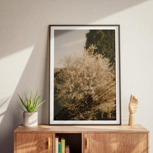 Verträumte Frühlingsbäume - Semi-Glossed Art Print - Perfektes Geschenk für Naturliebhaber