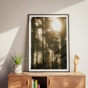 Poster di alberi della foresta da sogno - Arte boschiva accattivante su carta semi-lucida - Decorazione murale perfetta