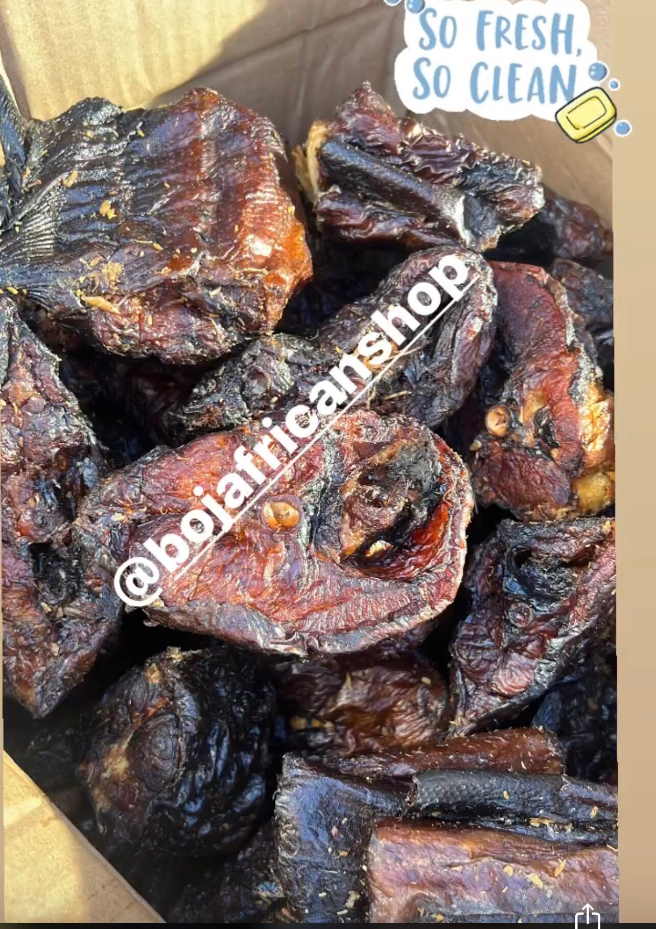 Buy Dried Bonga Fish Agbodo Fish 14pieces big Wild Caught Online