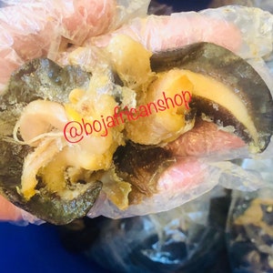 10 -25 pieces of  fresh snails-Jumbo/Large /Medium/Small options.  Cold packed for 1-2days delivery.  ships Monday-Wednesday only***