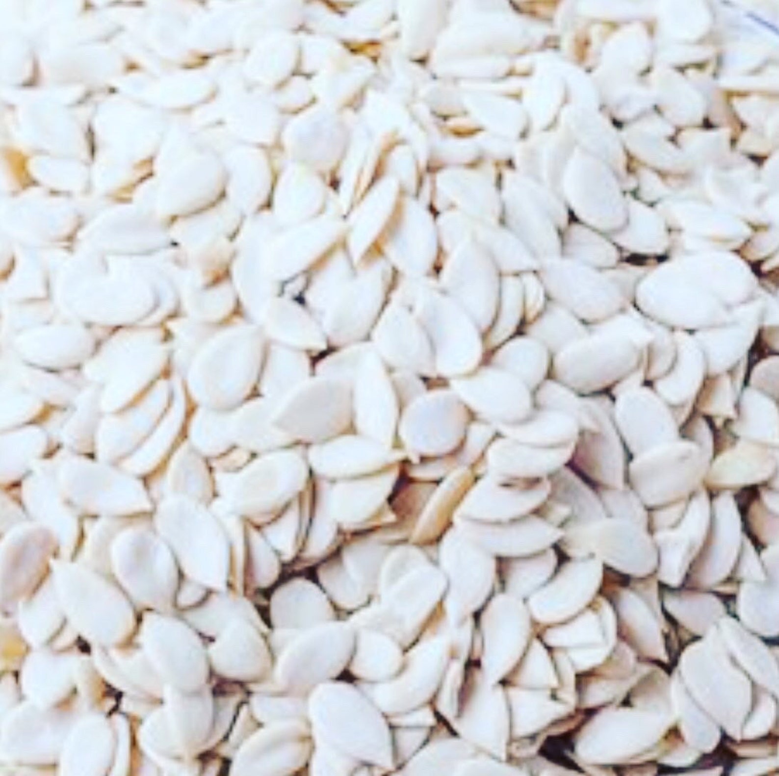 Whole Egusi seeds/melon seed16oz Etsy